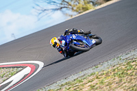 cadwell-no-limits-trackday;cadwell-park;cadwell-park-photographs;cadwell-trackday-photographs;enduro-digital-images;event-digital-images;eventdigitalimages;no-limits-trackdays;peter-wileman-photography;racing-digital-images;snetterton;snetterton-no-limits-trackday;snetterton-photographs;snetterton-trackday-photographs;trackday-digital-images;trackday-photos
